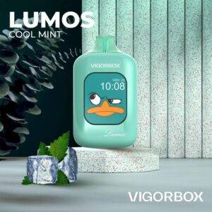 VIGORBOX LUMOS 25000 Puffs Disposable Vape Cool Mint