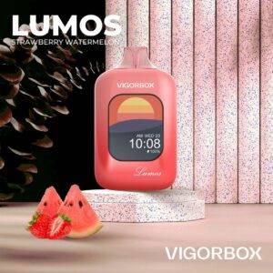 VIGORBOX LUMOS 25000 Puffs Disposable Vape Strawberry Watermelon